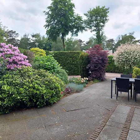 Comfort Nr. 19 Putten