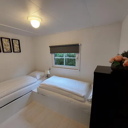 Comfort Nr. 19