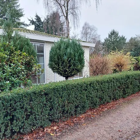 Comfort Nr. 19 Chalet Putten