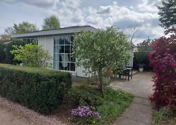 Alpstuga Comfort Nr. 19