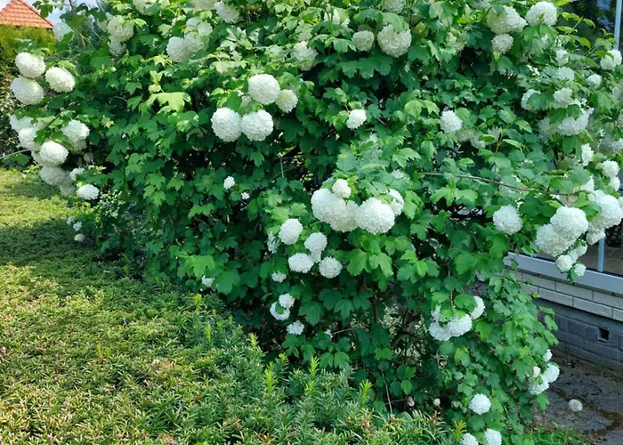 Alpstuga Comfort Nr. 19 Putten