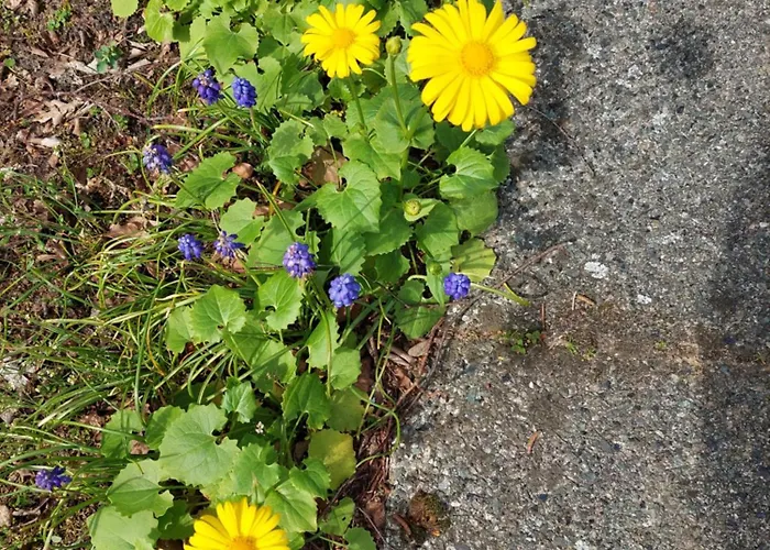 Comfort Nr. 19 Putten