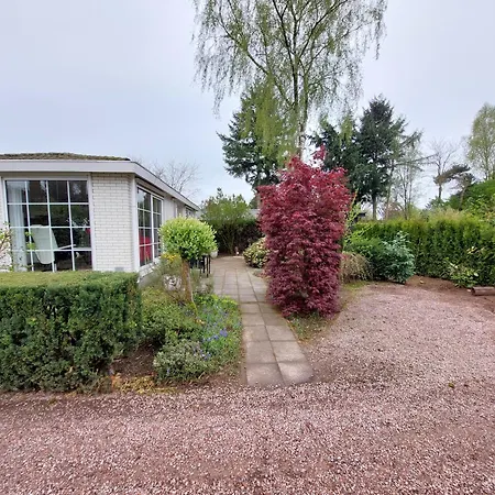 شاليه Comfort Nr. 19 *