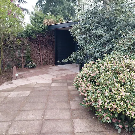 شاليه Comfort Nr. 19 بوتِنْ